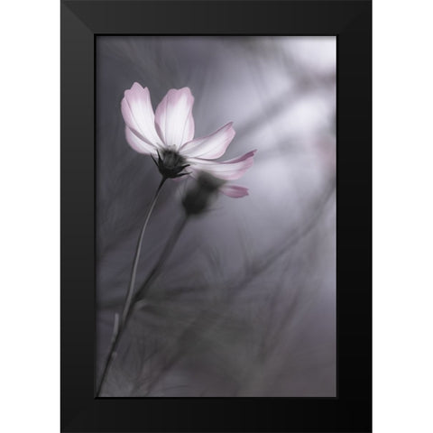 Cosmos Black Modern Wood Framed Art Print by HIDEBON