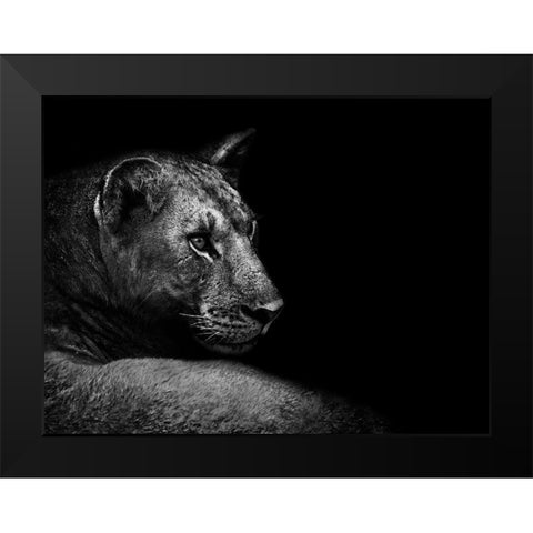 Lion Black Modern Wood Framed Art Print by Wildphotoart