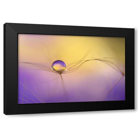 In Arms Black Modern Wood Framed Art Print with Double Matting by Westum, Heidi