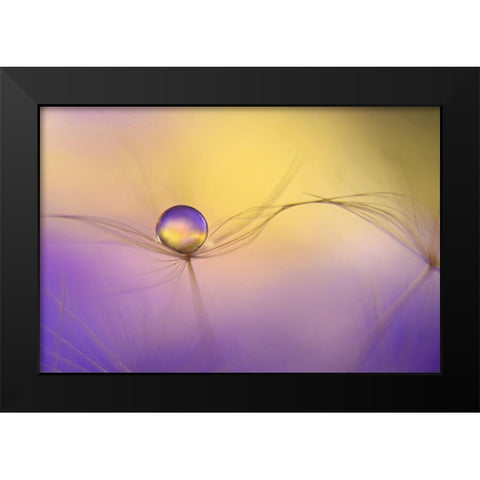 In Arms Black Modern Wood Framed Art Print by Westum, Heidi