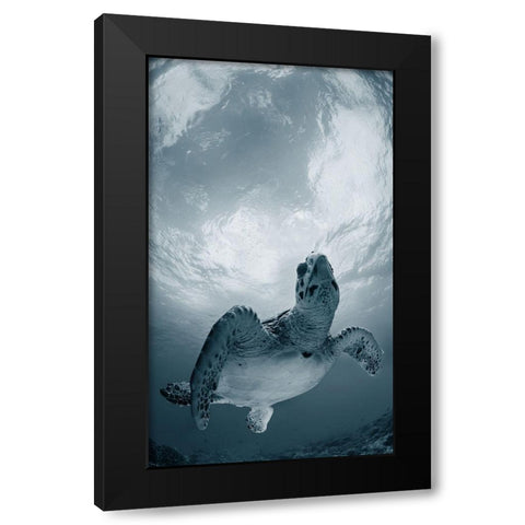 Elegy Black Modern Wood Framed Art Print with Double Matting by Narchuk, Andrey