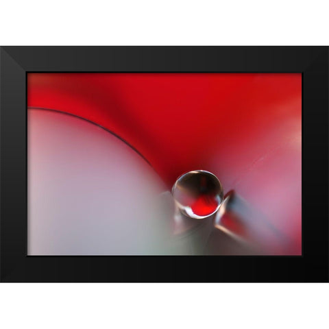 Between Black Modern Wood Framed Art Print by Westum, Heidi