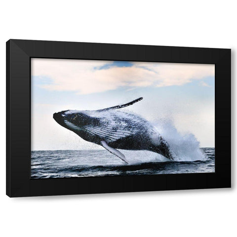 Breach Black Modern Wood Framed Art Print with Double Matting by Safonov, Alexander