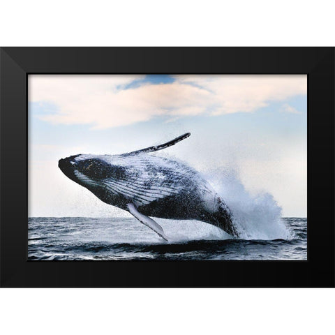 Breach Black Modern Wood Framed Art Print by Safonov, Alexander