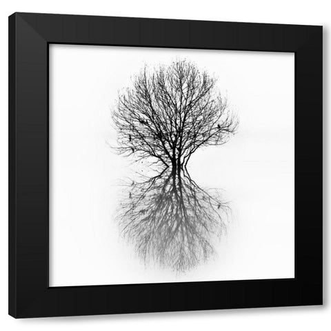 Diluvium Black Modern Wood Framed Art Print with Double Matting by Abrantes, Paulo