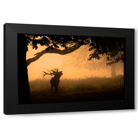 The Love Call Black Modern Wood Framed Art Print with Double Matting by Jevric Fotorax, Radojica