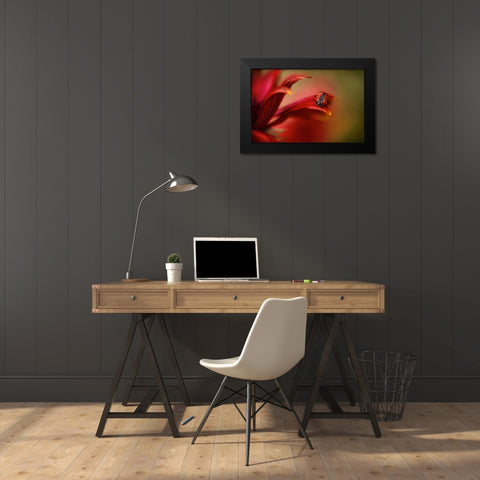 Simply Red Black Modern Wood Framed Art Print by Disher, Mandy