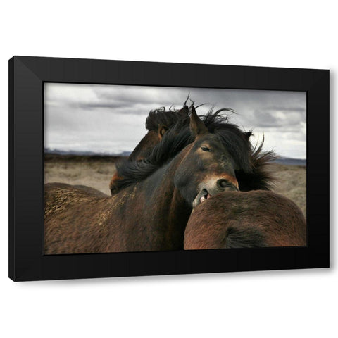 Close Black Modern Wood Framed Art Print by Ingibergsson, Bragi
