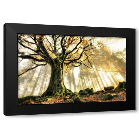 November Black Modern Wood Framed Art Print by Kiciak, Christophe