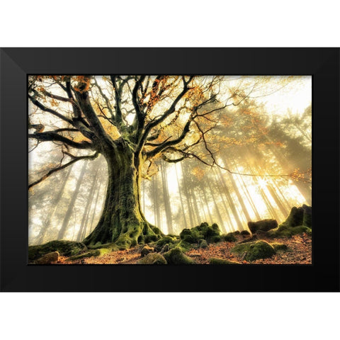November Black Modern Wood Framed Art Print by Kiciak, Christophe