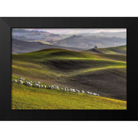 Pastoral Black Modern Wood Framed Art Print by Lipinski C, Roman