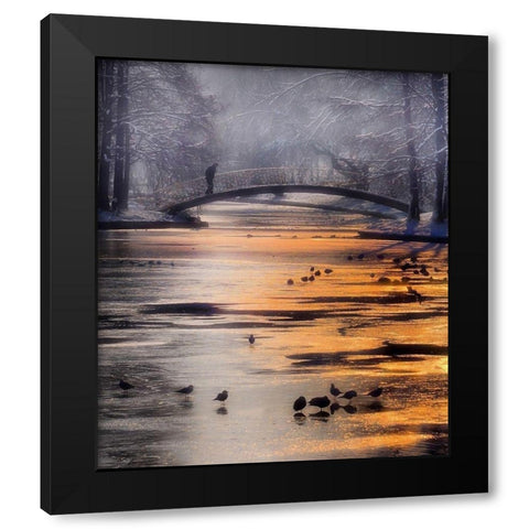 Frozen Lake Black Modern Wood Framed Art Print by Andreescu, Cristian