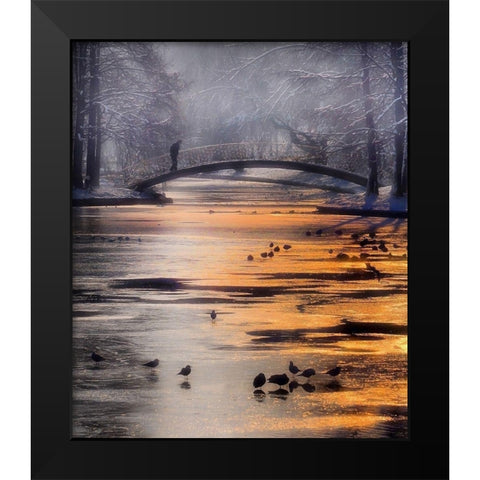 Frozen Lake Black Modern Wood Framed Art Print by Andreescu, Cristian
