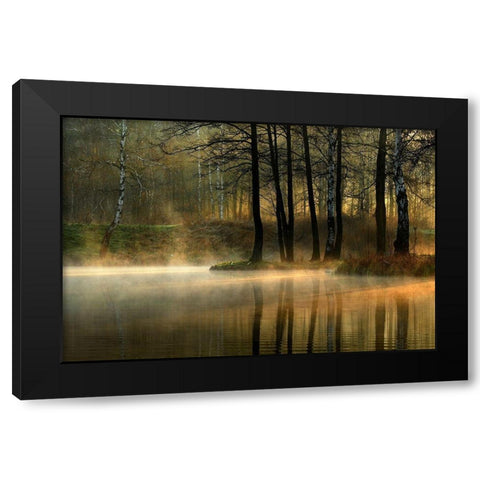 Silent Light. Black Modern Wood Framed Art Print by Jankowska, Agnieszka