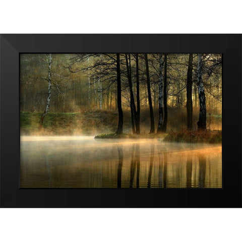 Silent Light. Black Modern Wood Framed Art Print by Jankowska, Agnieszka