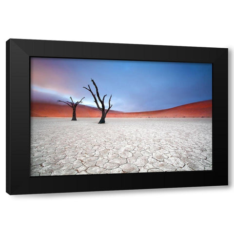 Mist Over Deadvlei Black Modern Wood Framed Art Print by Mcrae, Ben