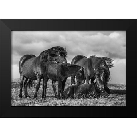 Happy Family Black Modern Wood Framed Art Print by Ingibergsson, Bragi