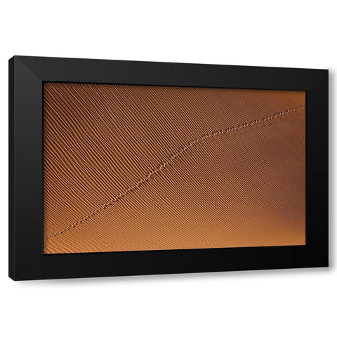 Footprint Black Modern Wood Framed Art Print by Momeni, Mohammadreza
