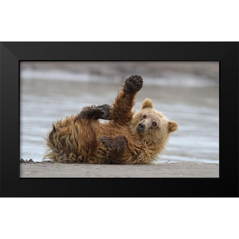 High Five Black Modern Wood Framed Art Print by Forns, Alfred