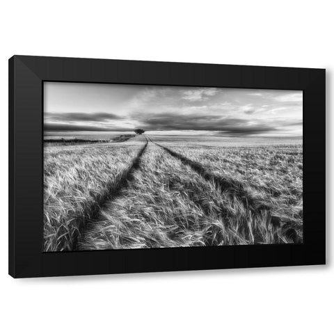 Countryside Black Modern Wood Framed Art Print by Krol, Piotr