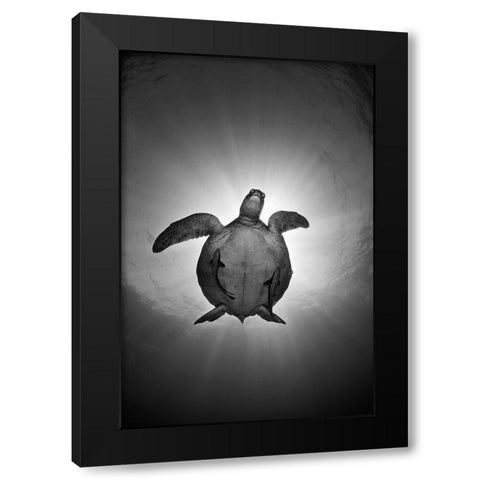 Sun Black Modern Wood Framed Art Print by Narchuk, Andrey