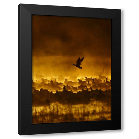 Fire In The Mist Black Modern Wood Framed Art Print by Forns, Alfred