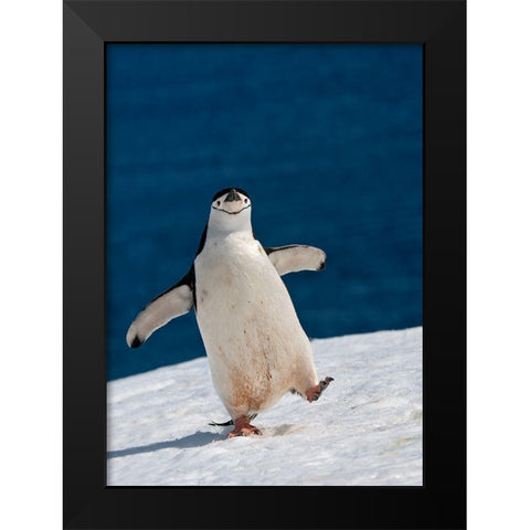 Life Is Good Black Modern Wood Framed Art Print by Kokinskiy, Sergey