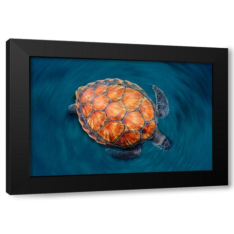 Spin Turtle Black Modern Wood Framed Art Print with Double Matting by Garcia, Sergi