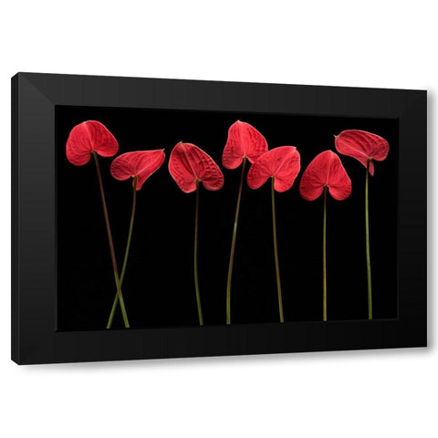 Botanical Hearts Black Modern Wood Framed Art Print by Barbu, Floriana