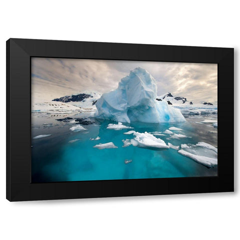 The Roots Black Modern Wood Framed Art Print with Double Matting by Kokinskiy, Sergey