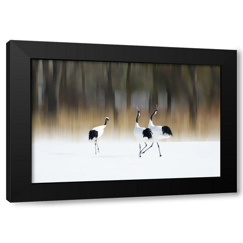 Sing A Song Of Love Black Modern Wood Framed Art Print with Double Matting by Iga, Ikuo