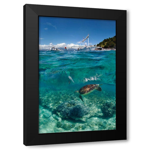 Dive To Philippines Black Modern Wood Framed Art Print with Double Matting by Narchuk, Andrey