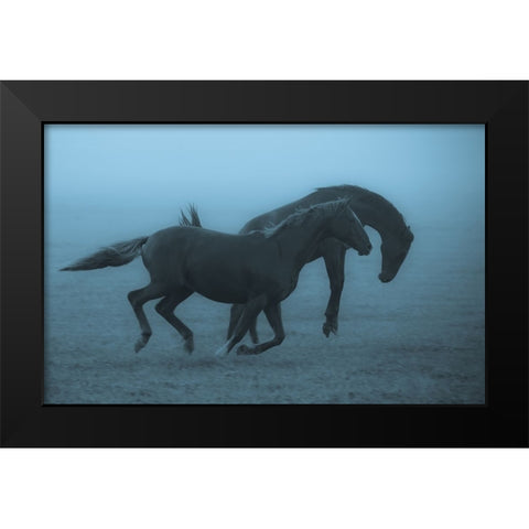 Horses In The Fog Black Modern Wood Framed Art Print by Wallberg, Allan