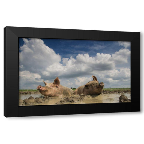 Mudpool Fun Black Modern Wood Framed Art Print by Van Den, Gert