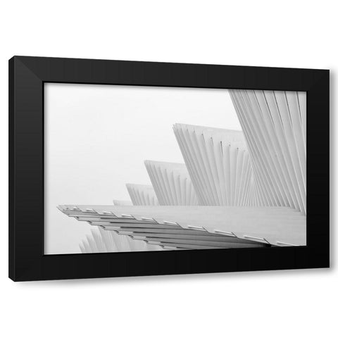 Fly Black Modern Wood Framed Art Print by Della Latta, Massimo