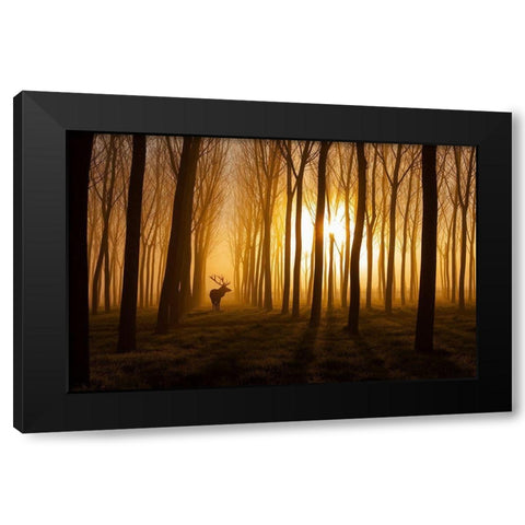 Once Upon A Time Black Modern Wood Framed Art Print with Double Matting by Miron, Stefan