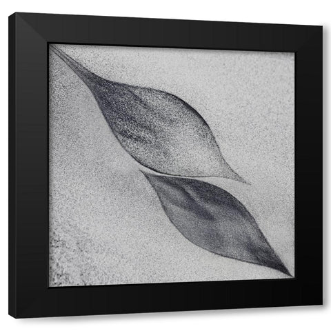 Shaped By A Creative Wind Black Modern Wood Framed Art Print by Flour, Piet