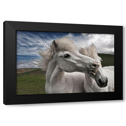 Playtime Black Modern Wood Framed Art Print by Ingibergsson, Bragi