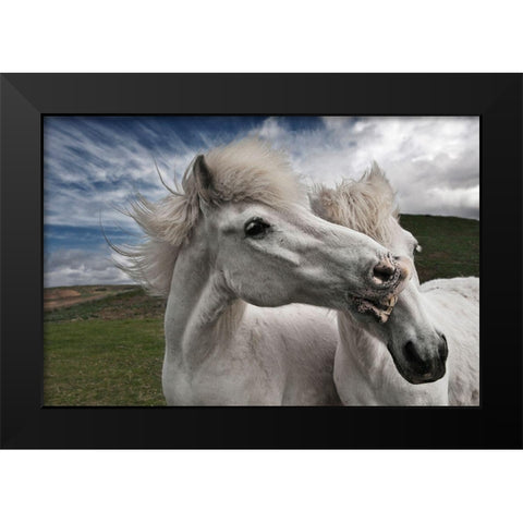 Playtime Black Modern Wood Framed Art Print by Ingibergsson, Bragi