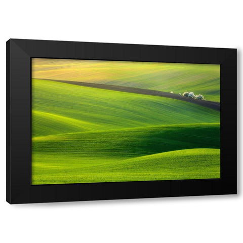 Spring Time... Black Modern Wood Framed Art Print with Double Matting by Browko, Krzysztof