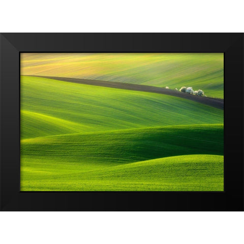 Spring Time... Black Modern Wood Framed Art Print by Browko, Krzysztof