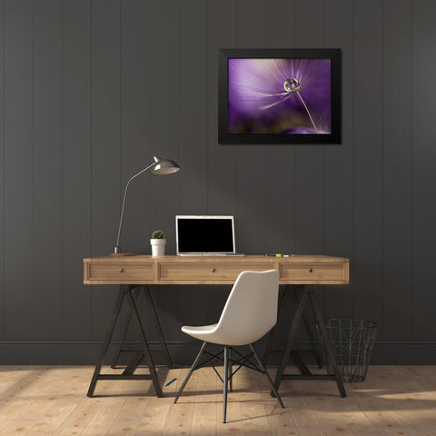 In Shades Of Purple Black Modern Wood Framed Art Print by Westum, Heidi