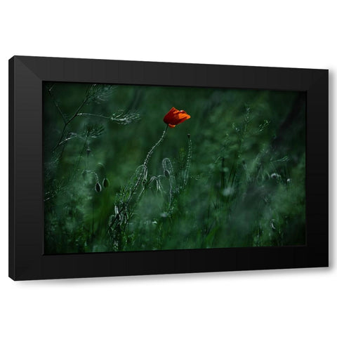 Blow Me Away... Black Modern Wood Framed Art Print with Double Matting by Neer, Ildiko