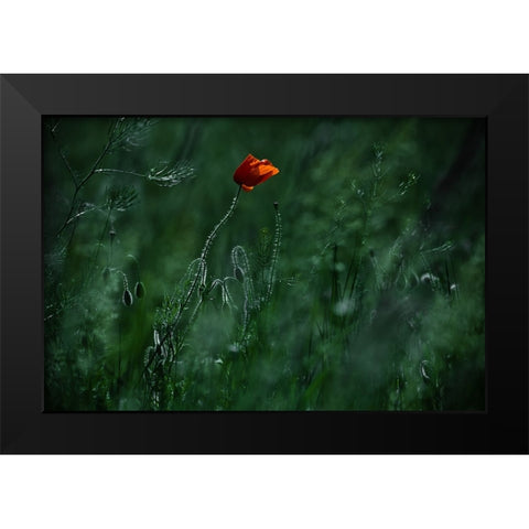 Blow Me Away... Black Modern Wood Framed Art Print by Neer, Ildiko