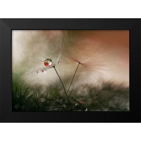 With And Without Black Modern Wood Framed Art Print by Westum, Heidi