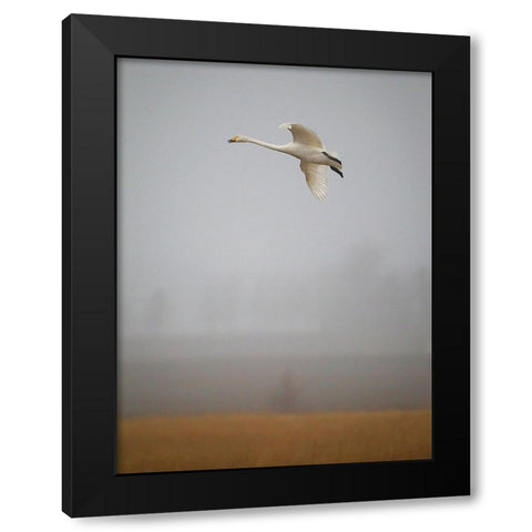 Out Of The Mist Black Modern Wood Framed Art Print with Double Matting by Sahlen, Jan