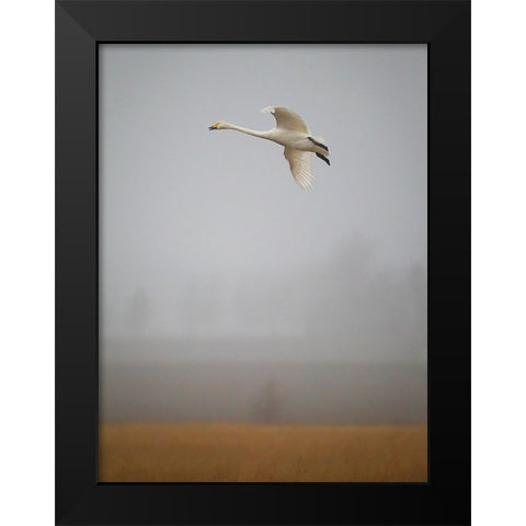 Out Of The Mist Black Modern Wood Framed Art Print by Sahlen, Jan