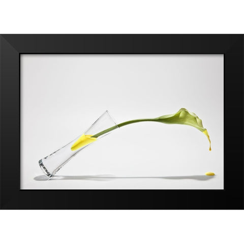 Calla Black Modern Wood Framed Art Print by Pabst, Christian