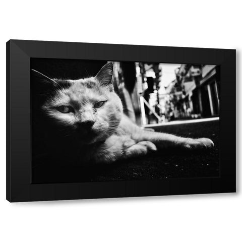 Cat Black Modern Wood Framed Art Print with Double Matting by Suzuki, Tatsuo