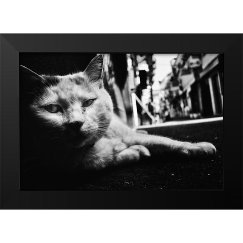 Cat Black Modern Wood Framed Art Print by Suzuki, Tatsuo